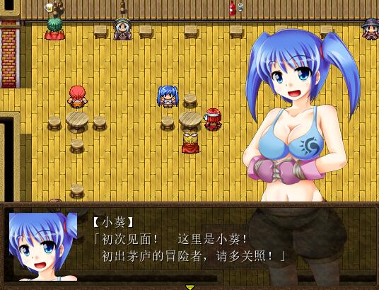 [PC][RPG]骑士少女冒险传说:女骑士与龙物语V1.1-[精翻中文版]-精选游戏荟